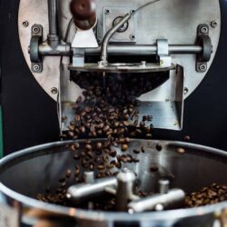 Interview with coffee farmer Aaron Fernandes coffeebean beans 7